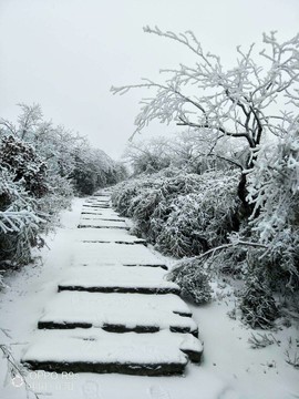 微信图片_20180203160208