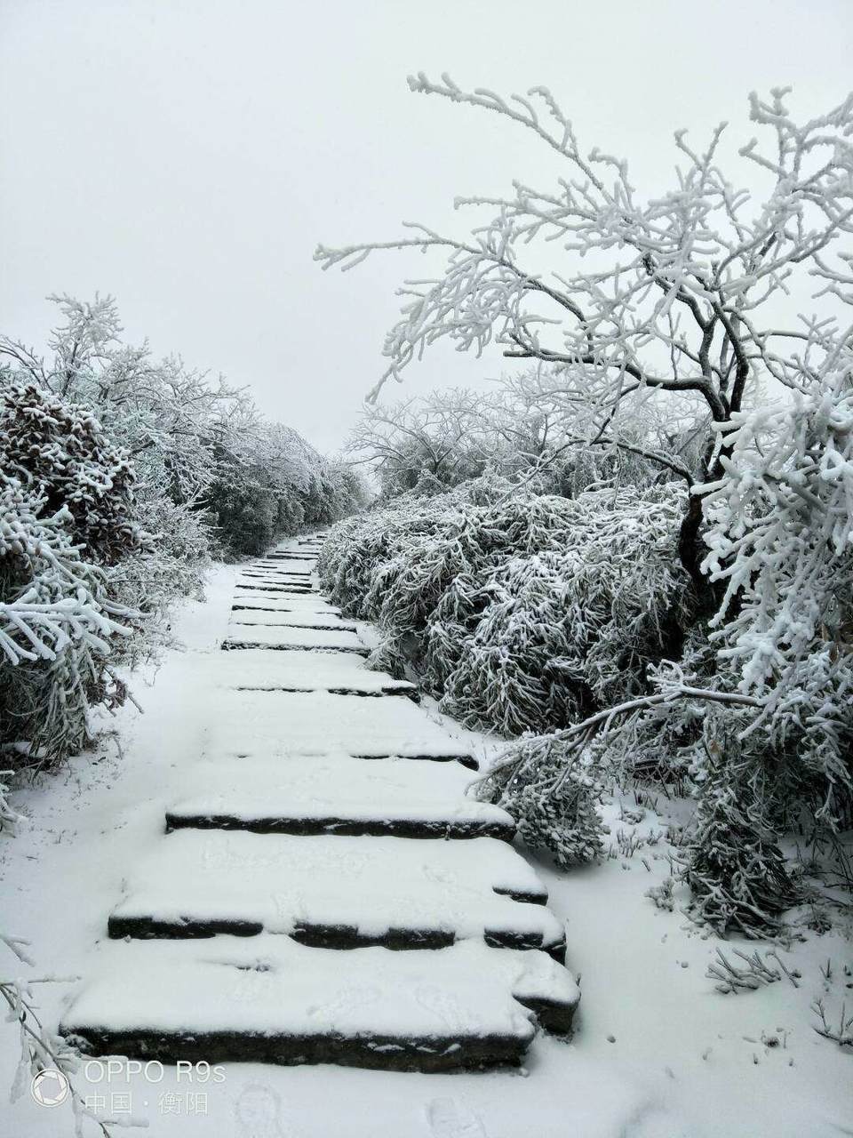 微信图片_20180203160208