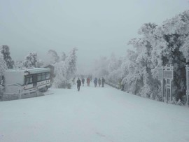 微信图片_20180203160219