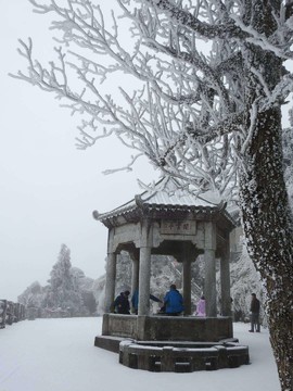 微信图片_20180203160230