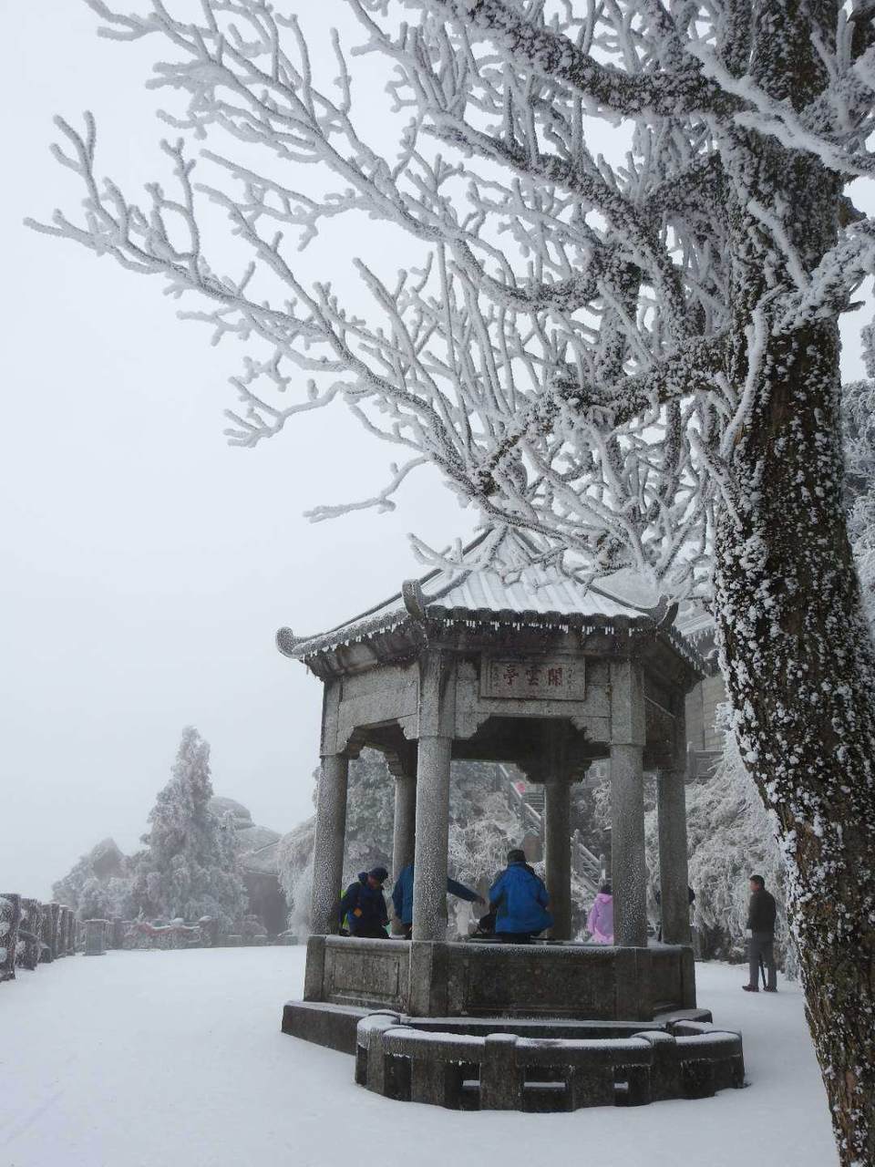 微信图片_20180203160230