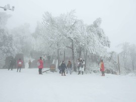 微信图片_20180203160235