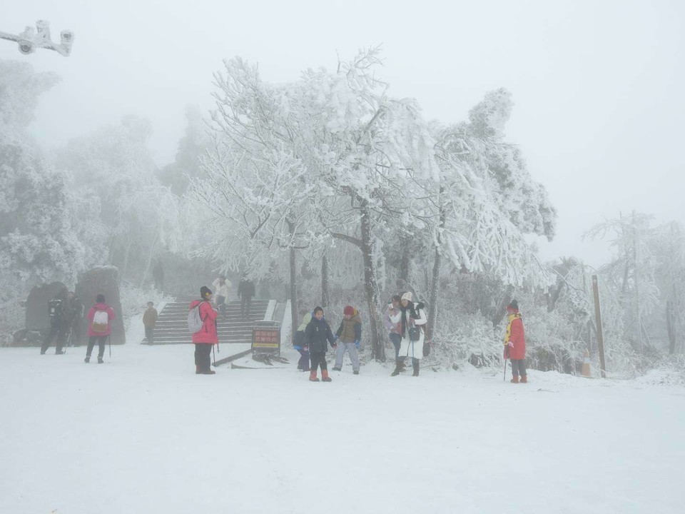 微信图片_20180203160235