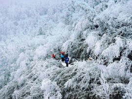 微信图片_20180203160241