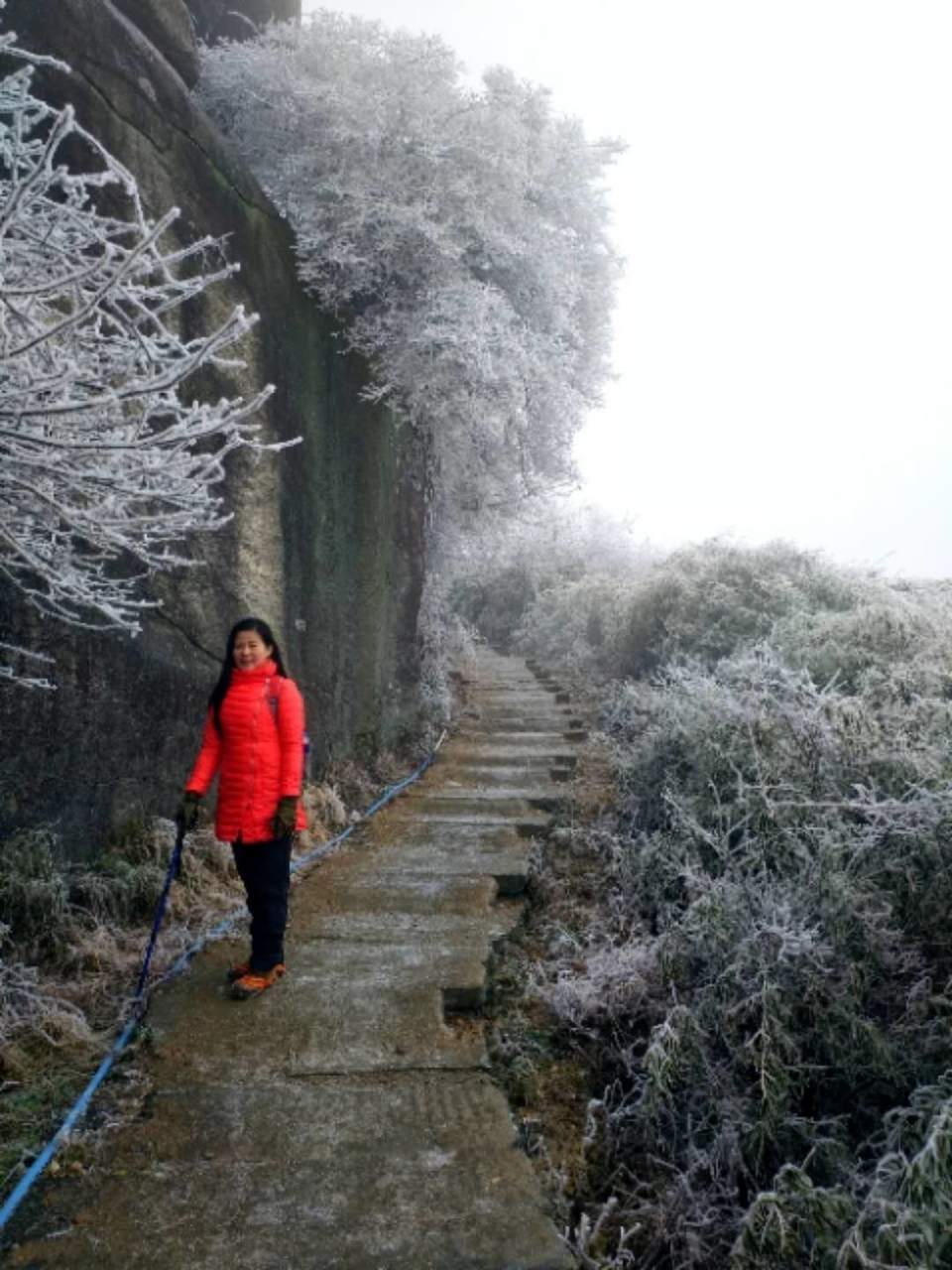 微信图片_20180203160841