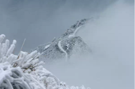 微信图片_20180203160842