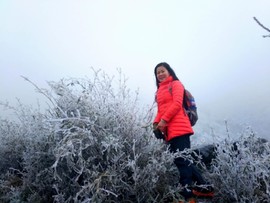 微信图片_201802031608412