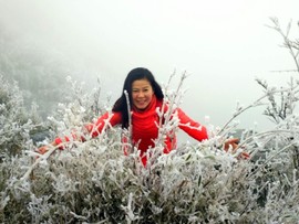 微信图片_201802031608413