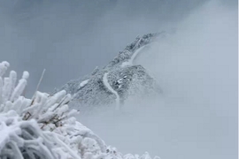 微信图片_2018020316084119