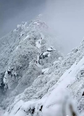 微信图片_2018020316084120