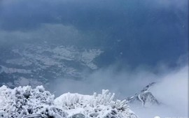 微信图片_2018020316084121