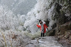 微信图片_20180203173144