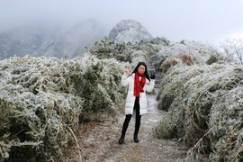 微信图片_201802031731442