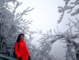 微信图片_201802031731445