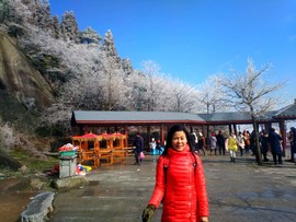 微信图片_201802031731449