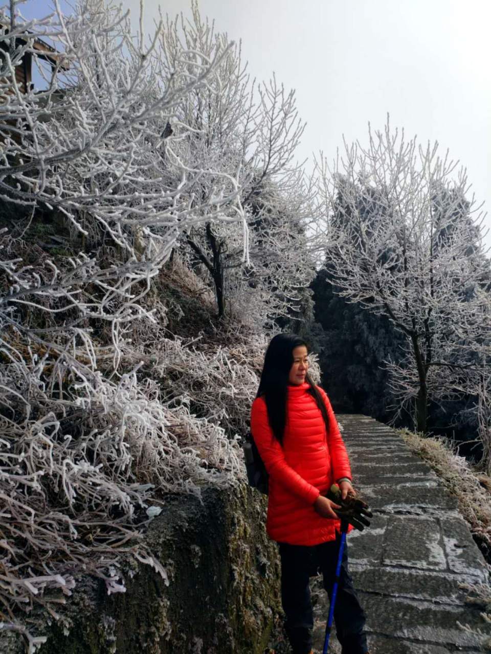 微信图片_2018020317314412