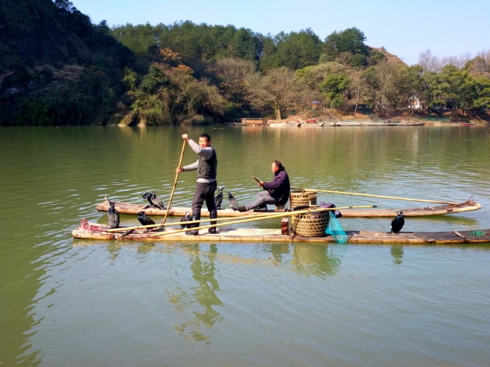 微信图片_201802041546011