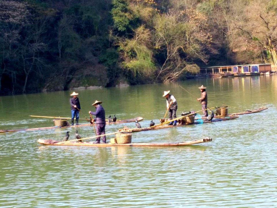 微信图片_2018020415460025