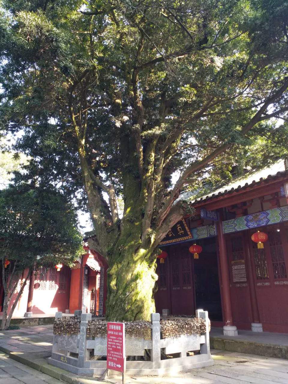 微信图片_2018020415460120