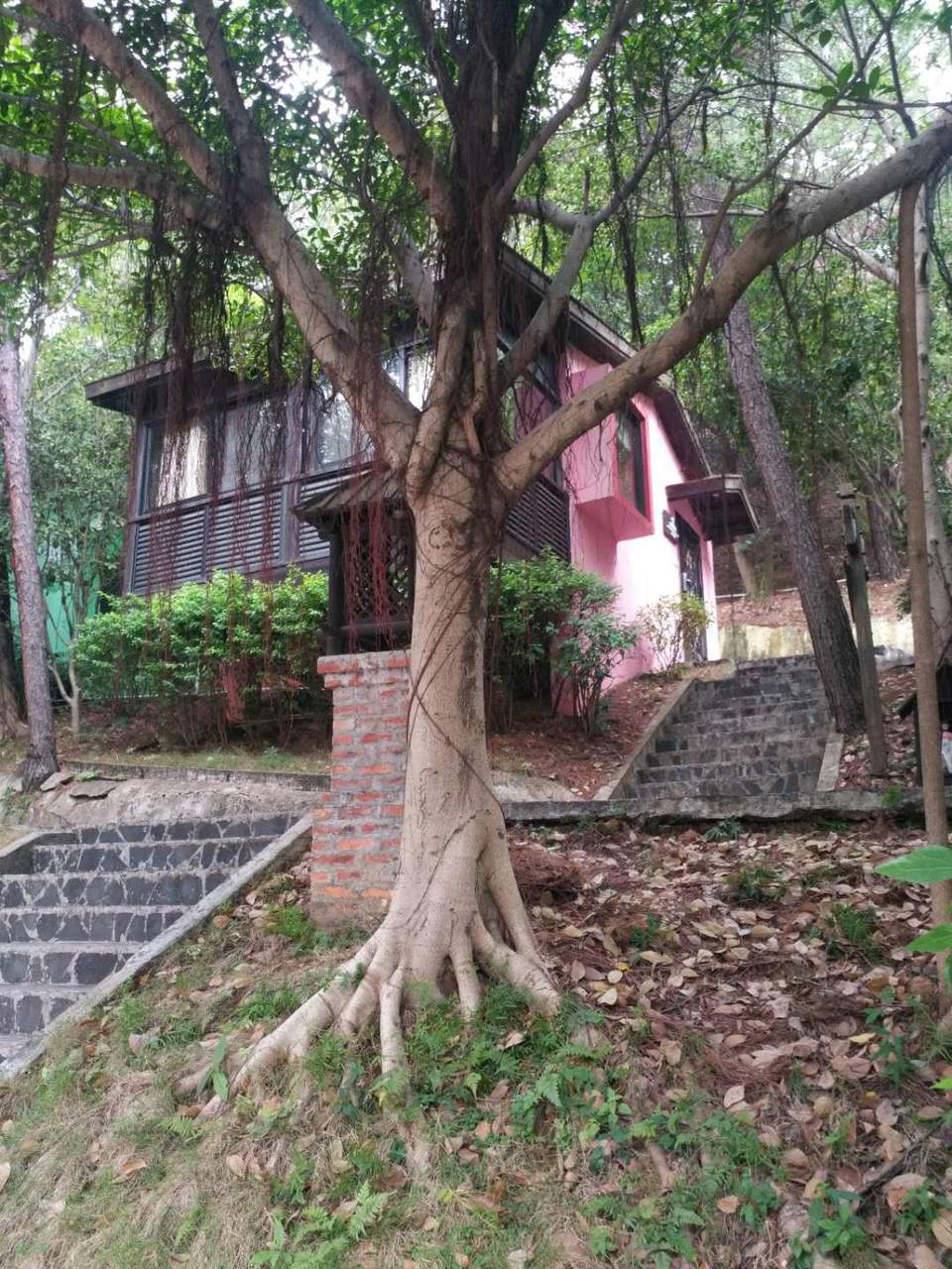 微信图片_2018020415583013