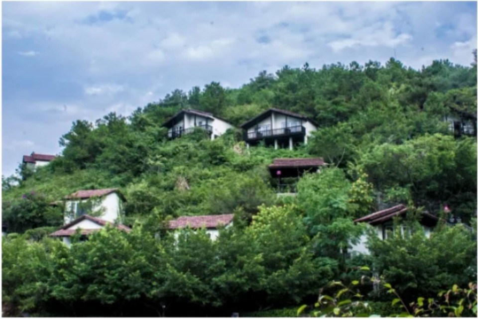 微信图片_2018020415583026