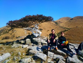 微信图片_20180204161553