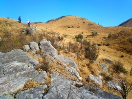 微信图片_201802041615524