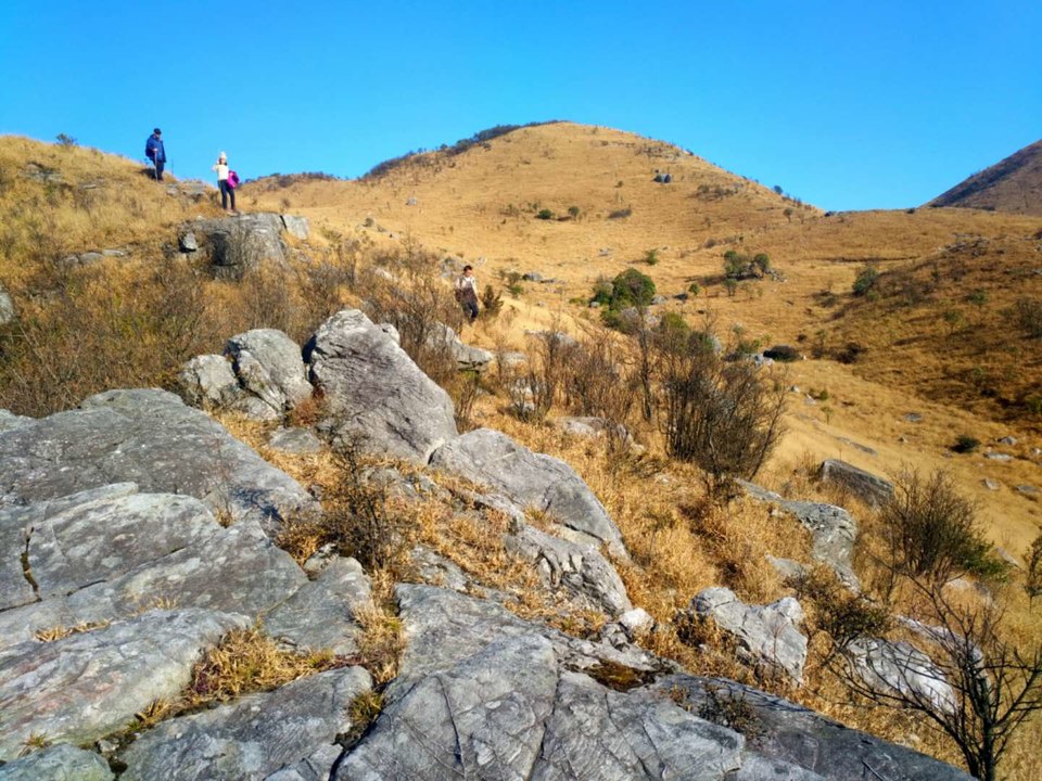 微信图片_201802041615524