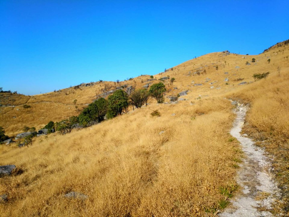 微信图片_201802041615525