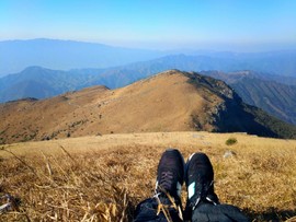 微信图片_201802041615526