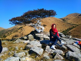 微信图片_201802041615531