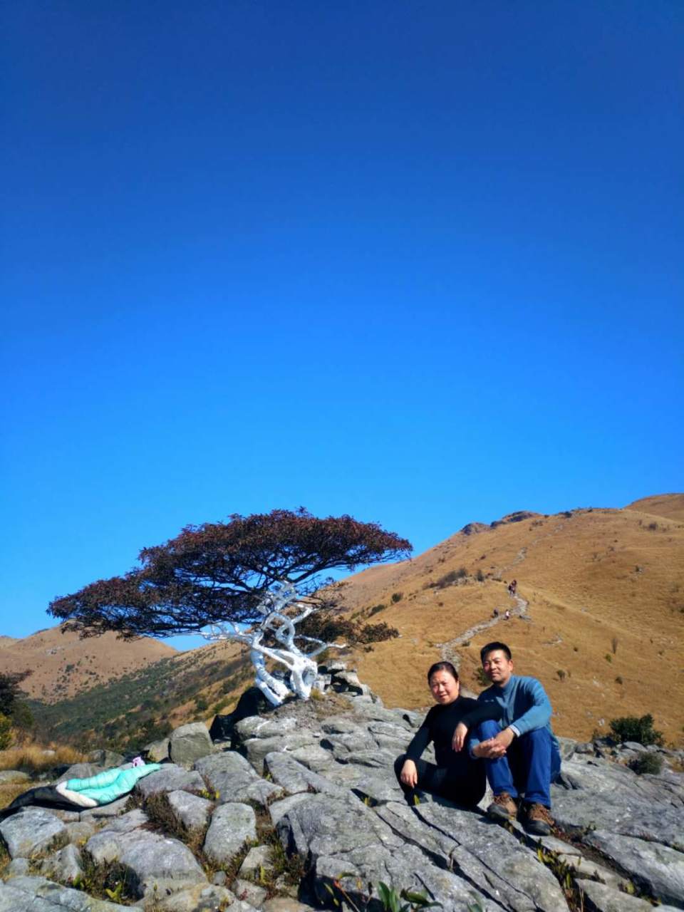 微信图片_201802041615532