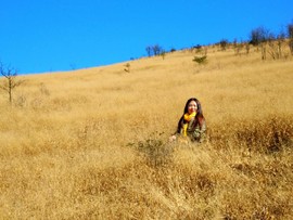 微信图片_201802041615533