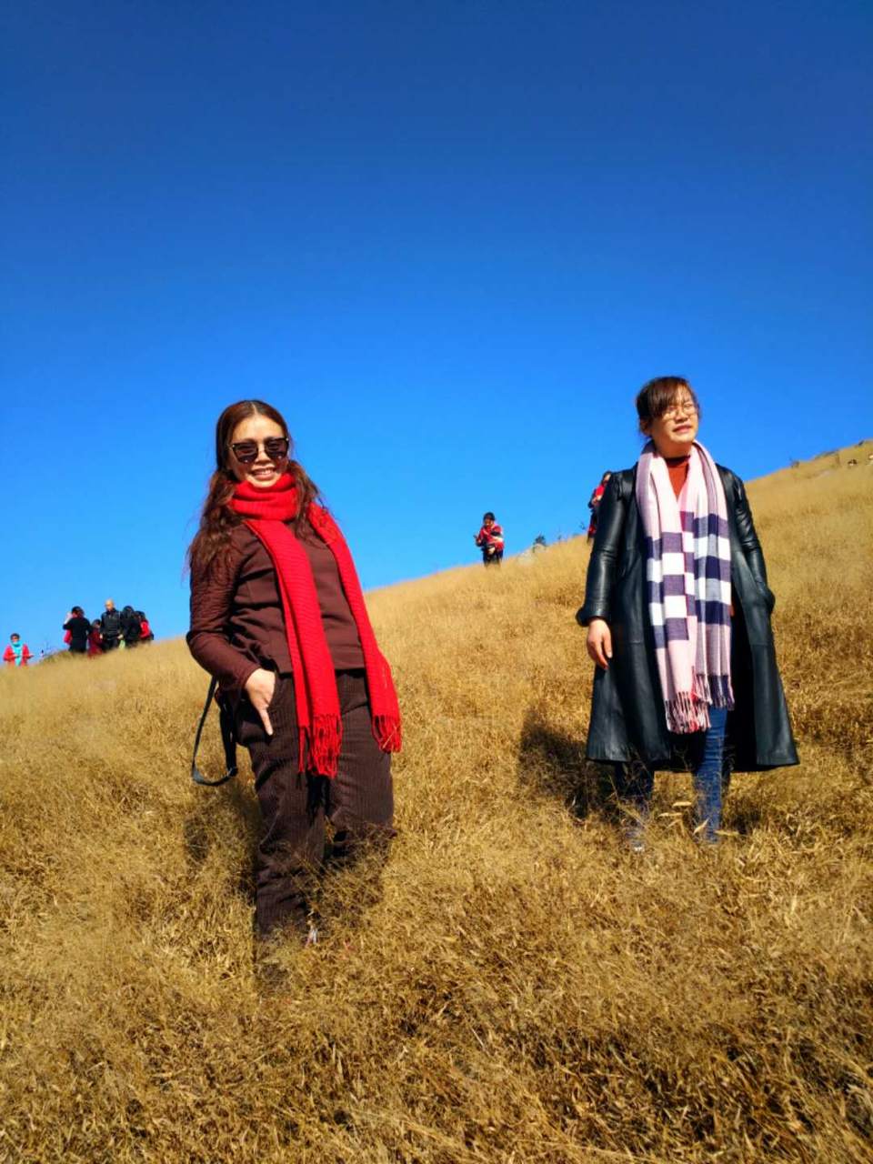 微信图片_201802041615534