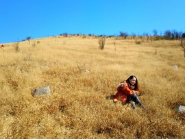 微信图片_201802041615536