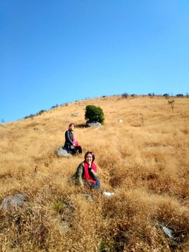 微信图片_201802041615538