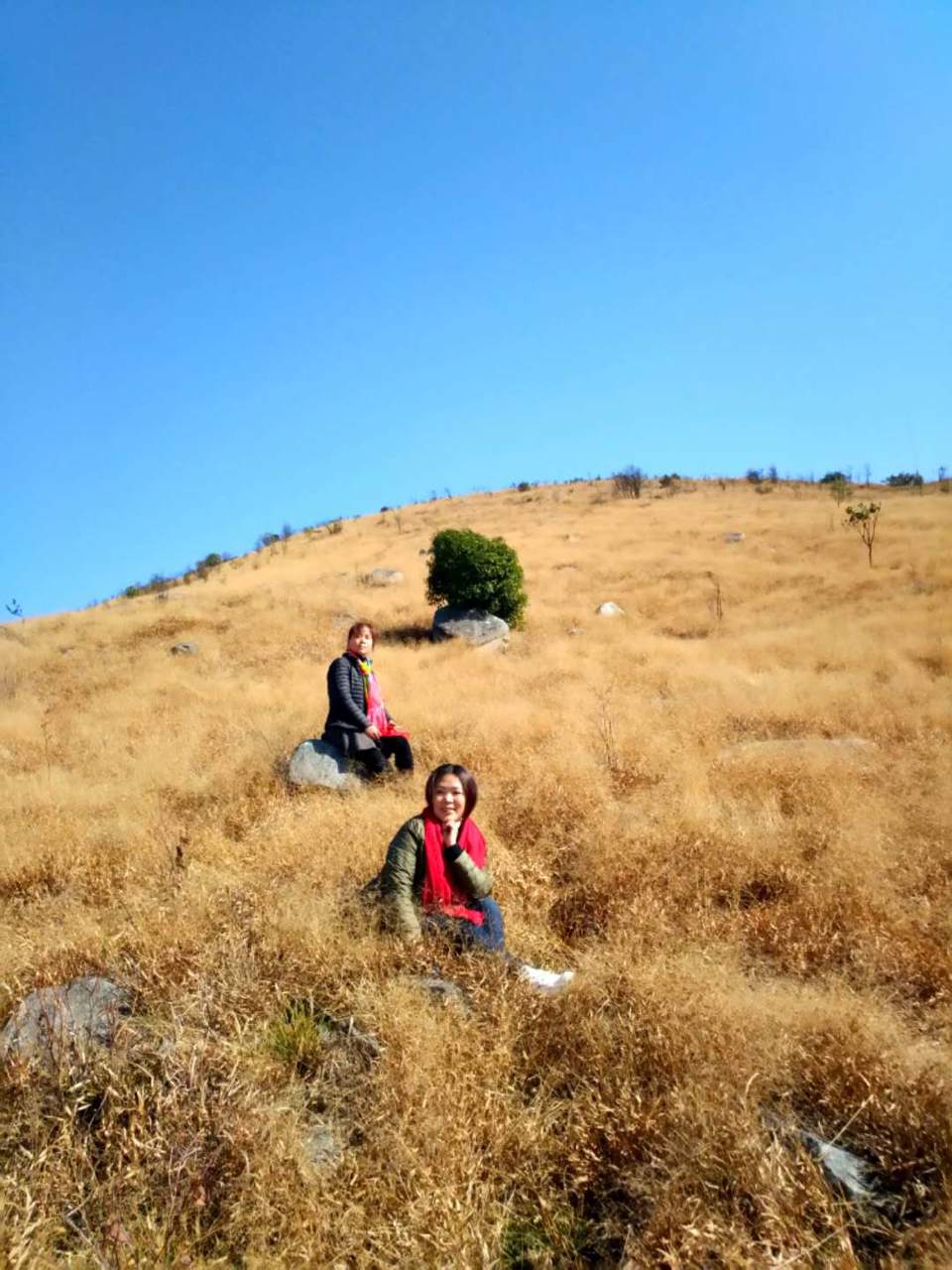 微信图片_201802041615538