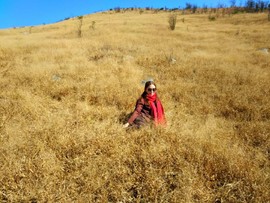 微信图片_201802041615539