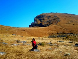 微信图片_2018020416155213