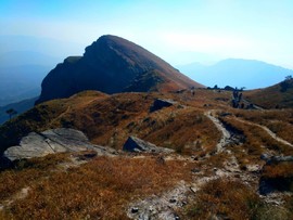 微信图片_2018020416155214