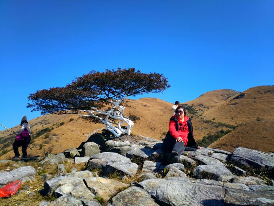 微信图片_2018020416155229