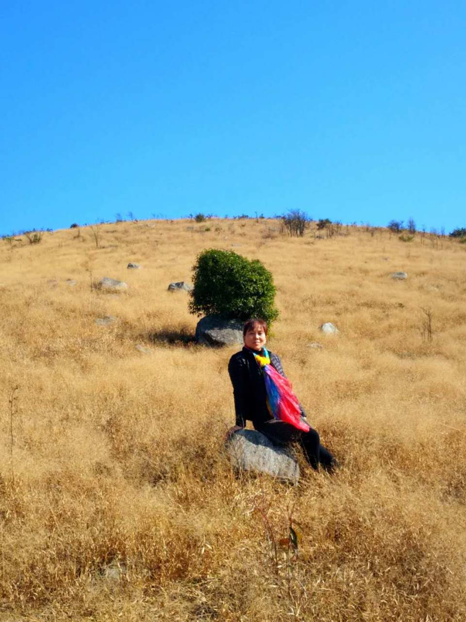 微信图片_2018020416155310