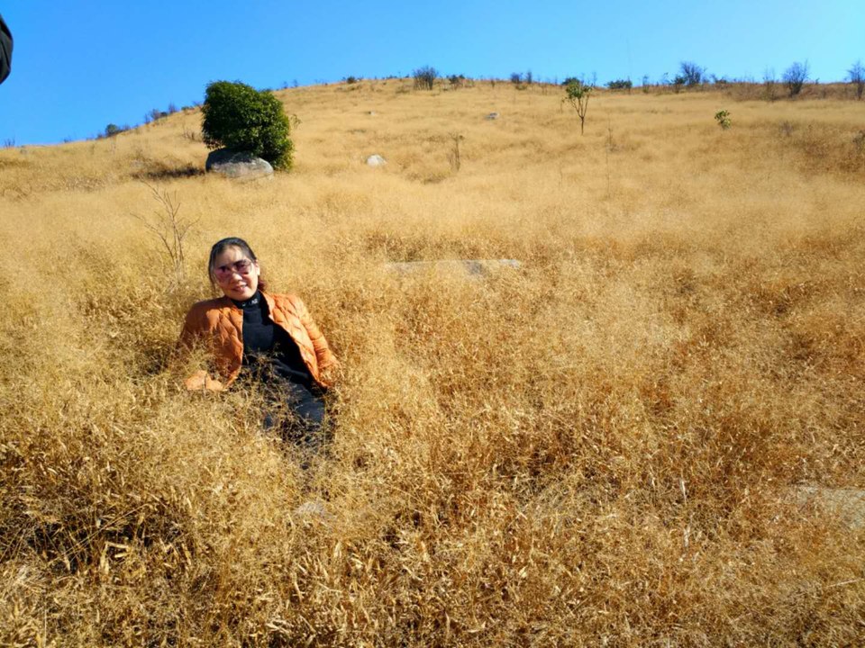 微信图片_2018020416155313