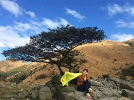 微信图片_2018020416155320