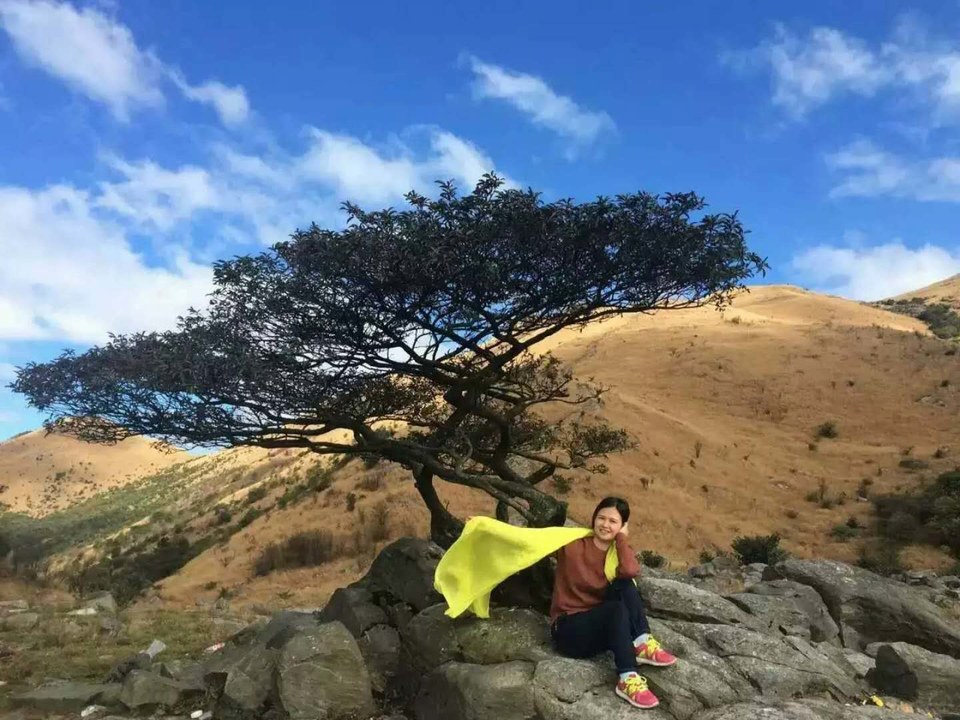 微信图片_2018020416155320