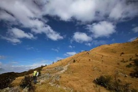 微信图片_2018020416155321