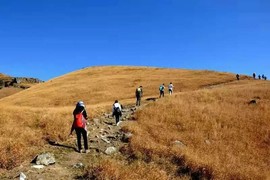 微信图片_2018020416155324