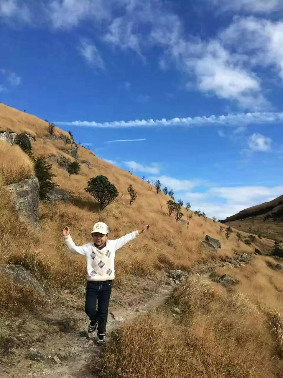 微信图片_2018020416155325