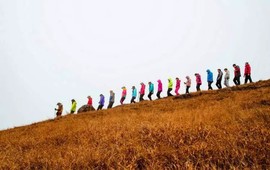 微信图片_201802041623592