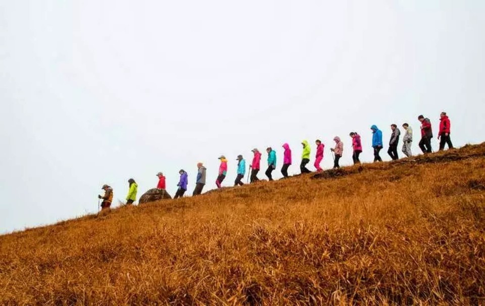 微信图片_201802041623592